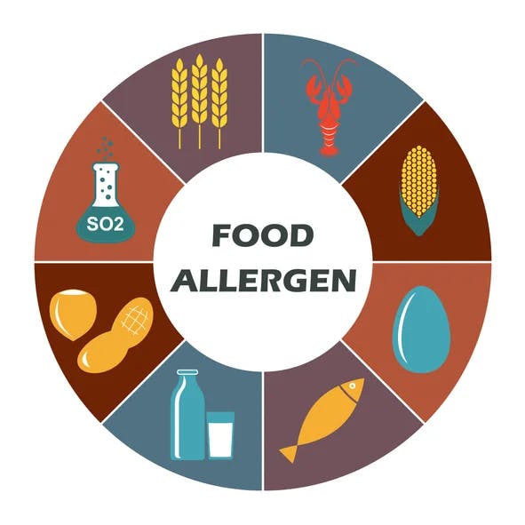 Food Allergens: Preventing Cross-Contact