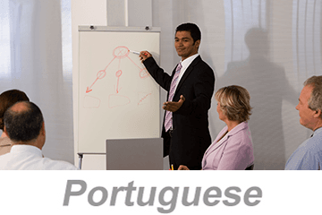 Integrated Systems - Achieving Organizational Excellence (Portuguese)
