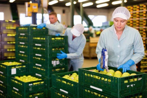 Food Safety for Food Handlers