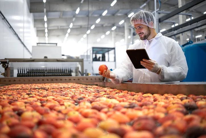 Food Manufacturing: Quality Assurance Programs
