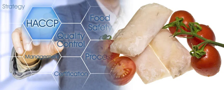 Preventing Food Hazards Using HACCP and FDA FSPs