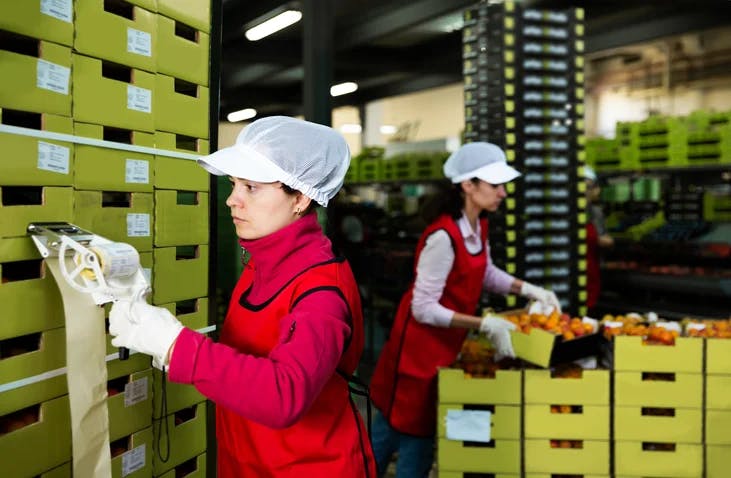Food Manufacturing: Traceability Management