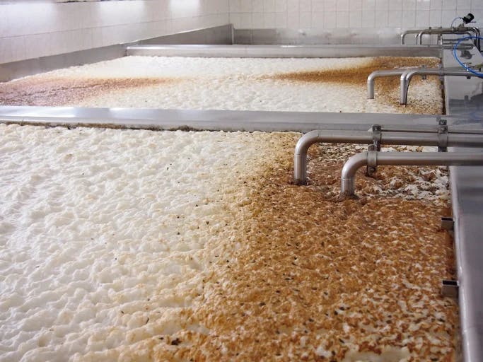 Spanish - Food Manufacturing: Sanitation